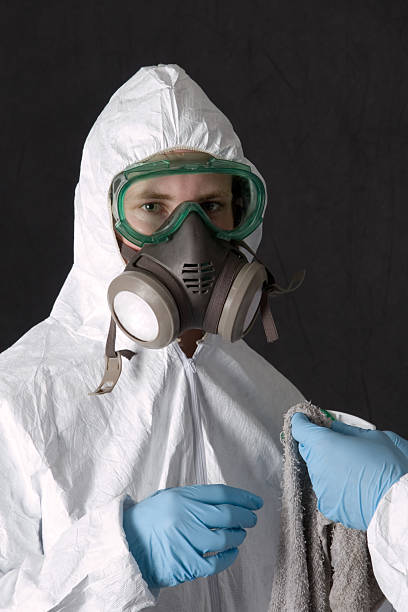 Best Crawl Space Mold Remediation  in West Simsbury, CT